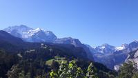 Mendelssohn-Weg Wengen (Blick auf die Jungfrau mit Silberhorn)