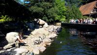 Walsrode. Weltvogelpark