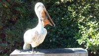 Walsrode. Weltvogelpark