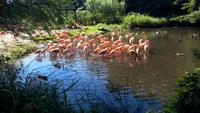 Walsrode. Weltvogelpark
