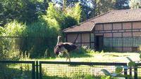Walsrode. Weltvogelpark