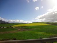 auf dem Weg nach Mossel Bay