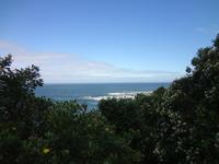 Im Tsitsikamma National Park wandern