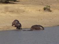 nein, alle raus, habe ich gesagt