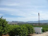 auf der Finka Juanita