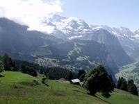  Rund um Wengen  - Fotograf Irene Schrade