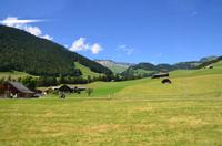 100 Fahrt mit dem Golden Pass Panoramic Express