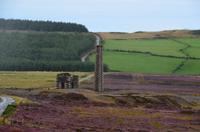 153 Isle of Man, blühende Landschaft mit alter Mine