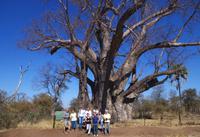 Gruppenbild am Baobab