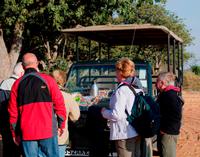 Chobe NP - Morning Tea