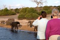 Chobe NP - Bootssafari