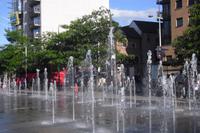 Stadtrundfahrt mit Willie in Belfast