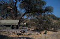 Mogothlo Lodge am Khwai River