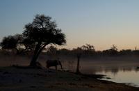 Sonnenuntergang am Khwai Fluss