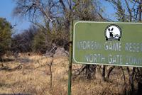 Von der Khwai Region ins Moreme Game Reserve