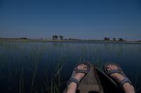 Okavango Delta - mit Mokoros unterwegs