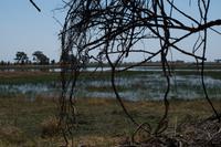 Insel im Delta - Wanderung