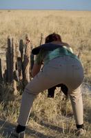 Heißbegehrtes Fotomotiv