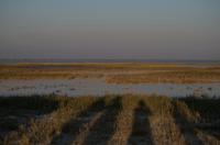 Salzpfannen bei Nata 