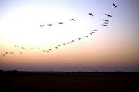 Sonnenuntergang bei Nata