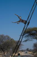 Hwange Nationalpark - Pirschfahrt
