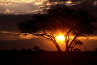 Hwange NP - Sonnenuntergang