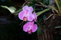 Abschied von Vic Falls im LieblingsCafe