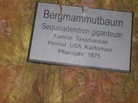 In der gleichen Anlage