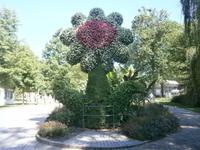 Blumenschmuck beim Ausgang