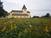 Insel Reichenau, Oberzell, Kirche 
