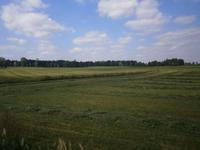 Wiesen und Wälder
