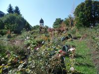 Klostergarten