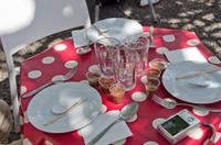 Schokoladenverkostung bei Maria Joao