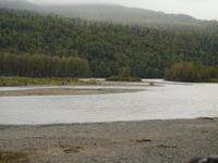 Zugfahrt mit dem Denali Star