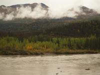 Zugfahrt mit dem Denali Star