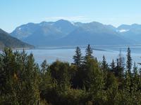 Aussichtspunkt und Stopp am Belugapoint