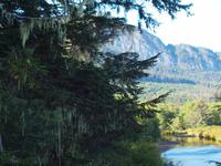 Ausflug Icy Strait Point