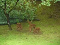 Ausflug nach Vancouver Island - Butchart Gardens