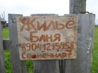 Große Katze oder Fischfalle