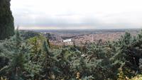 Verona