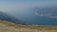 Gardaseeblick