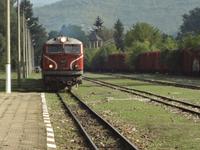 Die Schmalspurbahn 