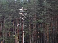 Welches ist kaputt ? 