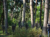 Nidden: Friedhof