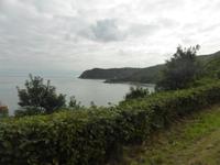 Jersey - Bon Nuit Bucht