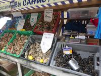 Cancale - Austernmarkt