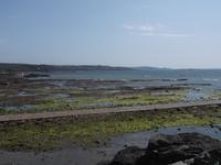 Der Dammweg zum St. Michael's Mount bei Niedrigwasser