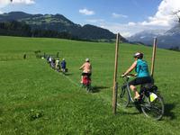 0641Abwärts über die Wiese