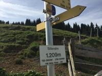 0731Mittagspause auf der Silleralm