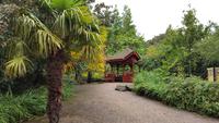 Edinburgh Botanischer Garten 4